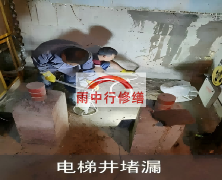 天津星雨华府电梯井堵漏案例